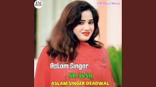 Aslam Singer SR 3450 [upl. by Airdnassac73]