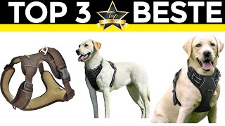 Hundegeschirr Test 2024 💎 TOP 3 beste Hundegeschirr [upl. by Sordnaxela]