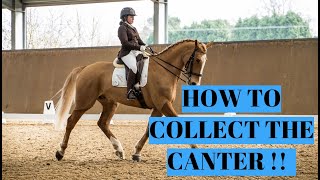 HOW TO COLLECT YOUR CANTER [upl. by Yemaj]