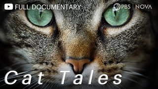 Cat Tales  Full Documentary  NOVA  PBS [upl. by Yatnod]