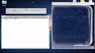 ImageJ Tutorial  Measuring Lengths and Angles [upl. by Sergeant]