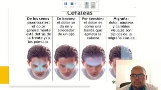 Fisiología de las cefaleas [upl. by Haswell]