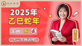 麦玲玲师傅详解2025蛇年运程：生肖狗！事业运、财运、人际关系、爱情、婚姻、健康全解析！ [upl. by Tallbott344]