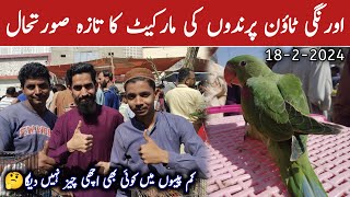 Orangi Town Birds Market 2024 Latest Update  Sunday 18Feb2024  Birds Market  Get Birds Info [upl. by Nnayd]