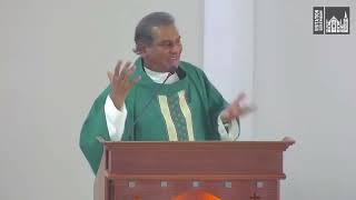 Homily English  21st Sunday in Ordinary Time [upl. by Thia]