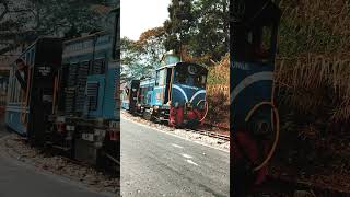 Darjeeling Himalayan Railway train explorethebeautyofnature travel [upl. by Ellsworth]