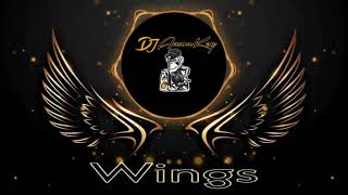 Birdy  Wings Remix DJ AmonKey [upl. by Ahsener]