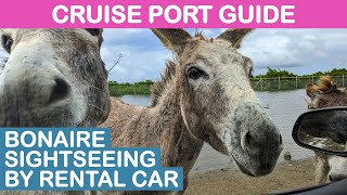 Bonaire Kralendijk Cruise Port Guide Sightseeing by Rental Car [upl. by Swope613]