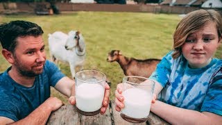 Taste Test Challenge Which goat has the BEST milk [upl. by Jaret]