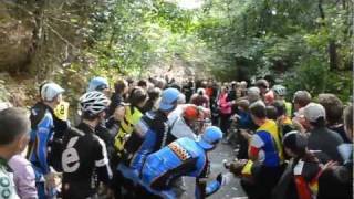 IHP 116th Catford Hill Climb [upl. by Behlke]