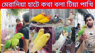 মেরাদিয়া পাখির হাট  Cockatiel bird low price  Parrot price in Bangladesh  meradia pakhir hat [upl. by Skerl]