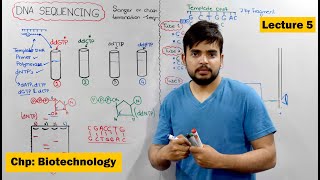 DNA Sequencing  Sanger or chain Termination Vs automated DNA sequencing  Video 5 [upl. by Inoliel]