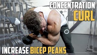 Concentration Curls for Bicep PEAKS  Exercise Tutorial [upl. by Oniram111]