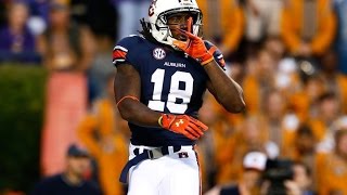 Sammie Coates Highlights  quotNow They Knowquot ᴴᴰ  Auburn [upl. by Ha]