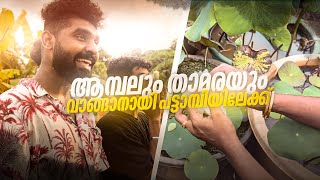 ഉമ്മാന്റെ ചെടി പ്രാന്ത് തീരുന്നില്ല  ഉമ്മാനേം കൂട്ടി ചെടി വാങ്ങാൻ ഇറങ്ങിയ ഞങ്ങൾ Hanan Shaah  Vlogs [upl. by Ennairda]