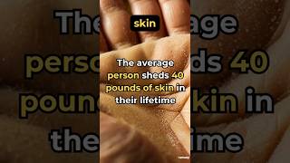 Amazing Facts About Skin Shedding You Never Knew Existed [upl. by Nilrem]