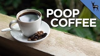 Poop Coffee Is 40 A Cup [upl. by Tronna748]