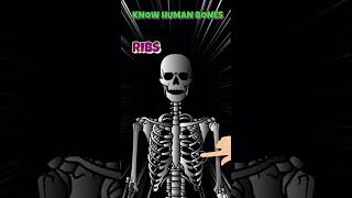 Bones The Building Blocks of Your Bodyskeletonboneshumanbodyhealthsciencebiology [upl. by Oniluap]