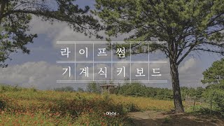 라이프썸 기계식키보드 경쾌한 타건감 갈축 키보드추천 [upl. by Trask]