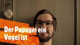 Kinderlieder mit BestZeller  Der Papagei ein Vogel ist Peter Ehlebracht Cover [upl. by Nuhs236]