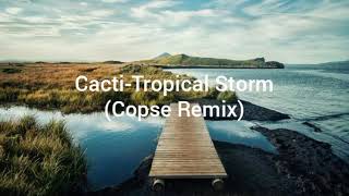 CactiTropical StormCopse RemixLyrics [upl. by Annoyik704]