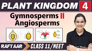 Plant and Kingdom 04  Gymnosperms l Angiosperms  Class 11NEET  RAFTAAR [upl. by Oneg555]