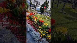 Ascona Switzerland 🇨🇭 Πανέμορφο μέρος shorts travel europe ascona switzerland [upl. by Sirap]