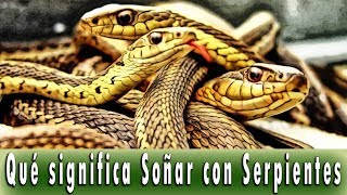 Qué significa soñar con Serpientes  Significado de los Sueños [upl. by Vito]