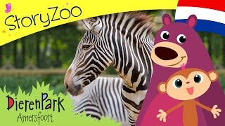 Episode 5 • StoryZoo op bezoek bij de zebra in Dierenpark Amersfoort [upl. by Atinaej]