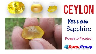 Ceylon Natural Yellow Sapphire Rough to Faceted [upl. by Ainalem]