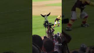 Pollo y Chango  Tomateros de Culiacan 20182019 [upl. by Xever]