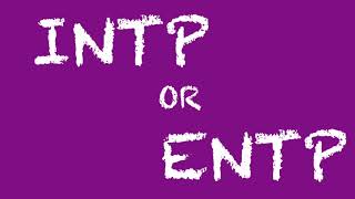 INTP or ENTP Which Personality Type Are You [upl. by Fayre609]