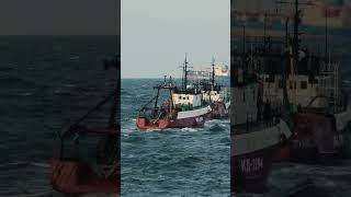 Small fishing boats and a reefer vessel at sea ships reefer fishing shorts vessels [upl. by Kilgore407]