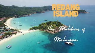 Redang Island how to get there and what to do snorkelingDivingswimming with Turtles [upl. by Leasa]