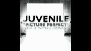 Juvenile  Picture Perfect Ft  Lil Wayne and Birdman CDQDirty Lyrics [upl. by Novihs470]