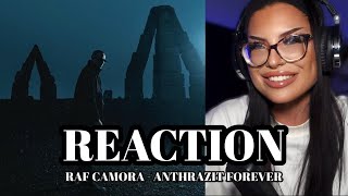 COMEBACK DES JAHRES 🐉 RAF Camora  ANTHRAZIT FOREVER  REACTION [upl. by Litta]