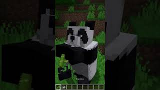 Muito fofo esse filhote de panda panda minecraft filhote [upl. by Yhtomit]