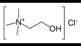 Choline Chloride from Choline Bitartrate New [upl. by Trey]