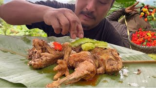 King chilly harvesting  eating tender chicken  harvesting organic vegetables [upl. by Aital]