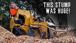 Come STUMP GRINDING with Me  A Day in the Life of Running a Tree Business [upl. by Sindee]