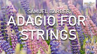 Adagio for strings [upl. by Itsud]