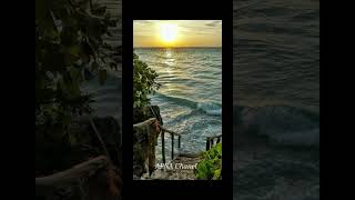 Soneri Baty ♥️viralvideo song nature youtubeshorts shortvideo sadstatus sadsong love [upl. by Oirramaj728]