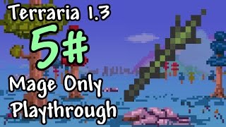 Expert Mode Terraria  Mage Only Vilethorn  Episode 5 [upl. by Durrej]