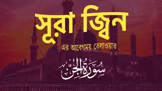 Surah AlJinn  সূরা আল জ্বিন  মন জুড়িয়ে যাবে একবার শুনে দেখুন  Best Emotional Quran Tilawat [upl. by Yrolg42]