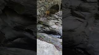 Watkins Glen State Park New York nature waterfall newyork [upl. by Cocks]