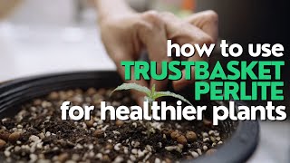 How to Use TrustBasket Perlite for Healthier Plants  Gardening Tips [upl. by Maddox]