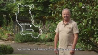 Visite du jardin dAndré Ayel SaintGalmier 42 lauréat 2016 du concours Jardiner Autrement [upl. by Abram]