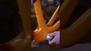 Pinarello Dogma X 🔧 Build Video [upl. by Aivatnuhs]