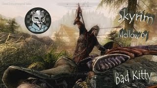 Checkers Mellow Skyrim Lets Play Part 91  Bad Kitty [upl. by Ytte]