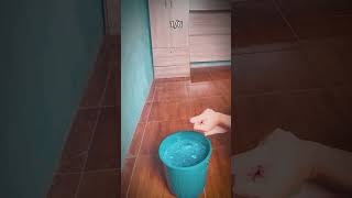 🧽 Watch me scrub my bedroom floor like a pro 🧼 ASMR CleaningSatisfaction SatisfyingSounds [upl. by Hanas]